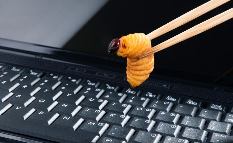 How to prevent computer worms 