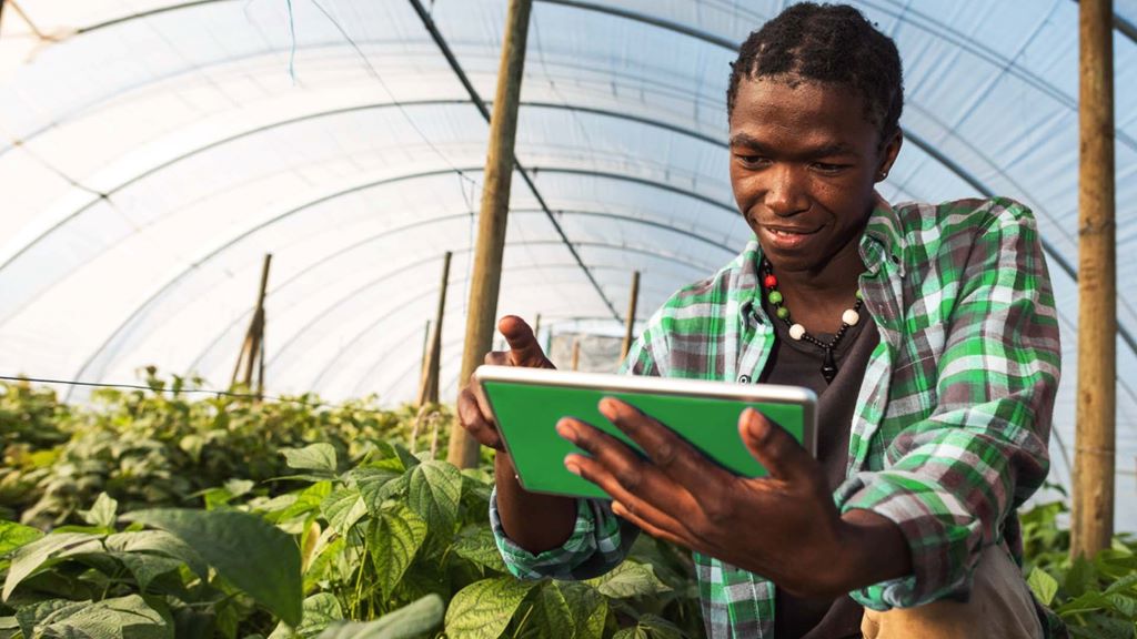 How eCommerce App Development Helps Agri-Businesses Reach Wider Markets