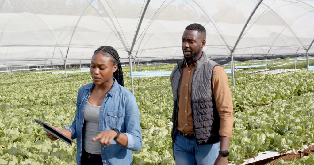 How does an eCommerce app benefit small farmers?